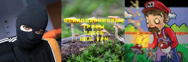 стафф Верея