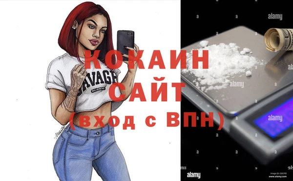 гидра Верхний Тагил