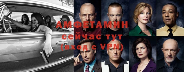 гидра Верхний Тагил