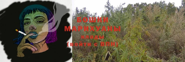 гидра Верхний Тагил