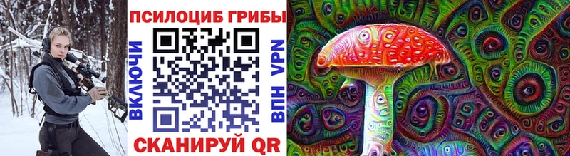 где продают   Северобайкальск  Псилоцибиновые грибы GOLDEN TEACHER 